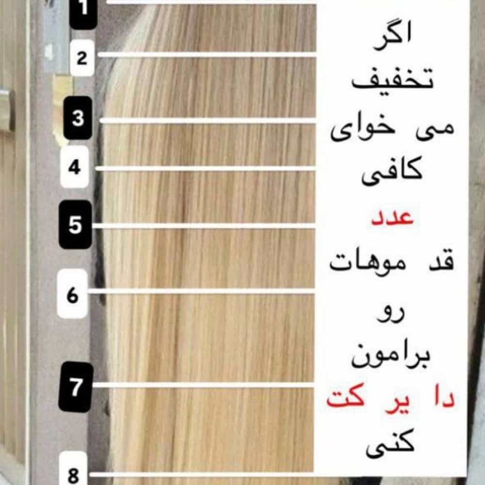 1753604847984.webp