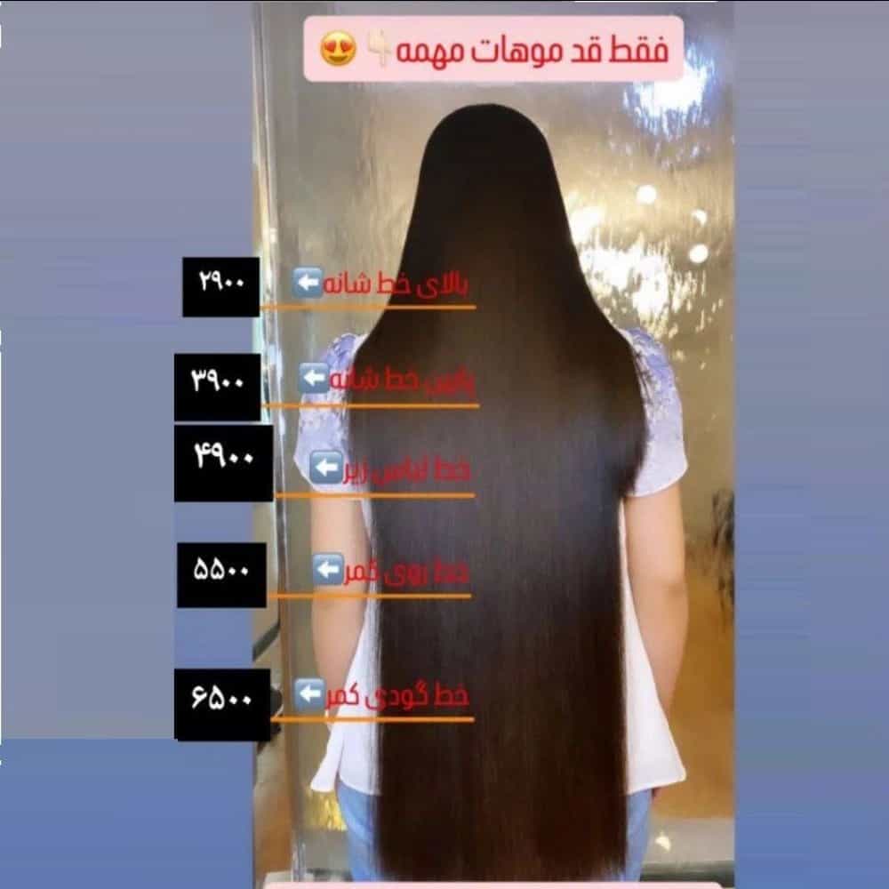 1753605155679.webp